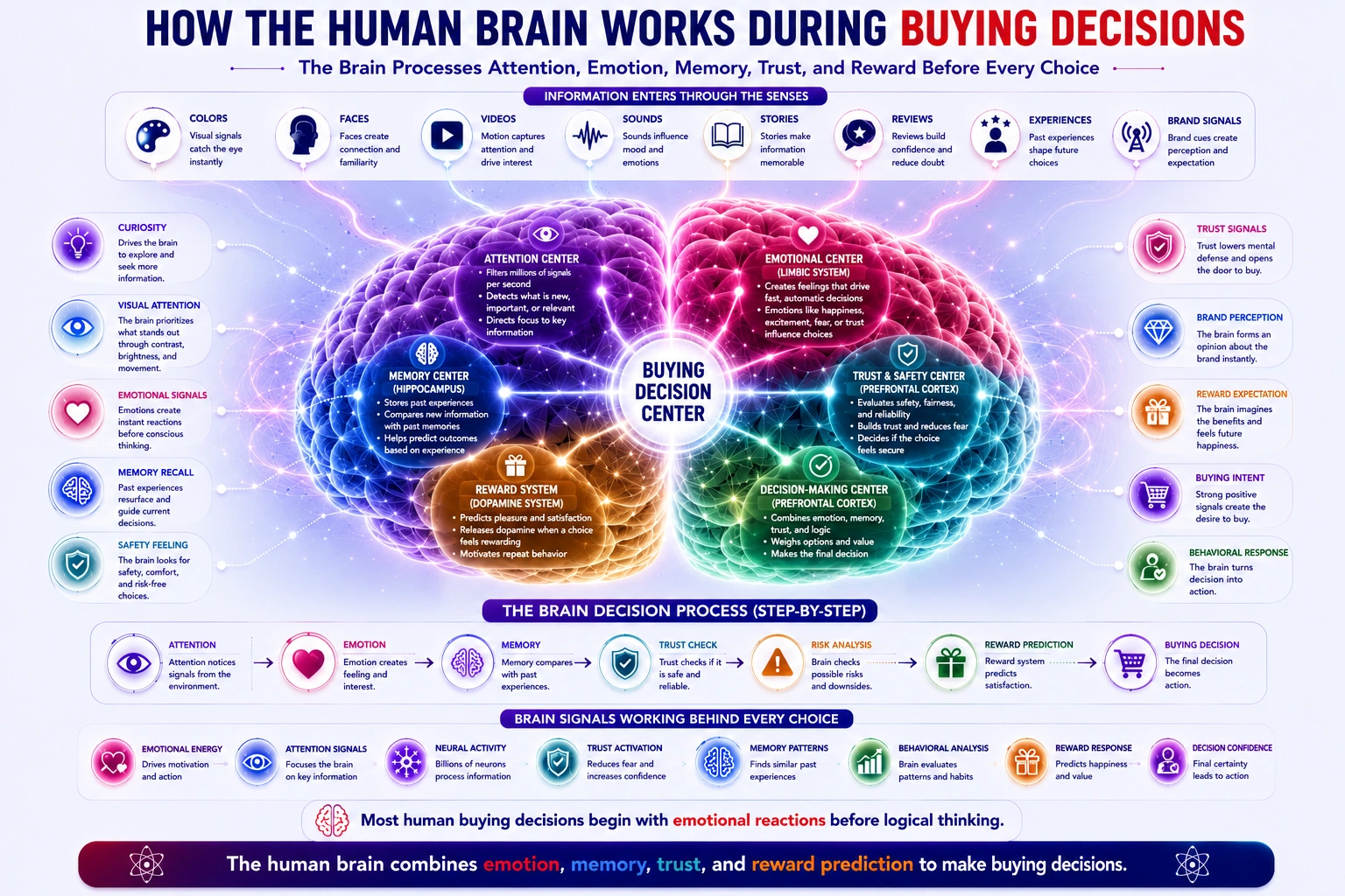 How Your Brain Decides to Buy